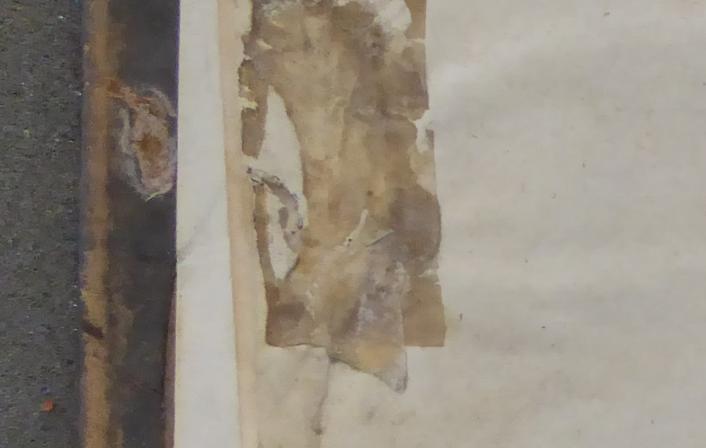 Colchester Harsnett K.e.31 i